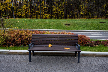 yellow leaves in the park on the ground and on benches