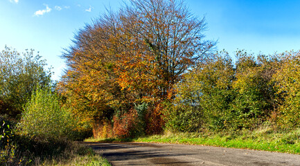 Naklejka premium Rural roads in late autumn sunshine