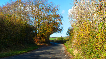 Rural roads in late autumn sunshine