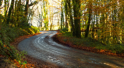 Rural roads in late autumn sunshine