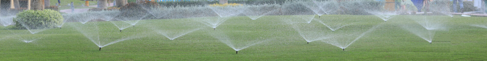 garden sprinkler while watering a green lawn