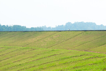 Fototapeta na wymiar Beautiful meadow from the Banasura sagar dam in Western Ghats, Wayanad, Kerala