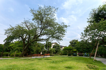 はなもみじ公園（東京都武蔵野市吉祥寺北町2丁目）