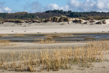 St Cécile Plage 11