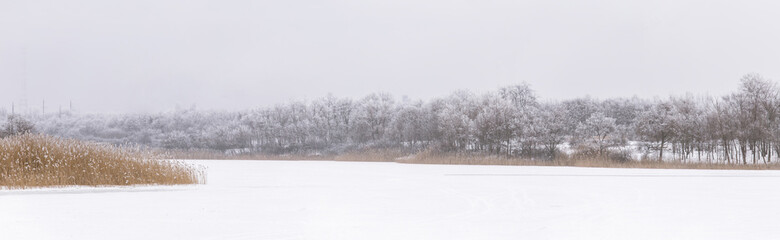 Fototapeta na wymiar Snowy and frozen pond in cloudy weather