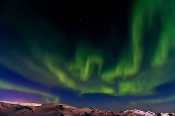 Plakat Aurora borealis in winter time. Northern lights. Sky with stars and northern lights and winter landscape. 
