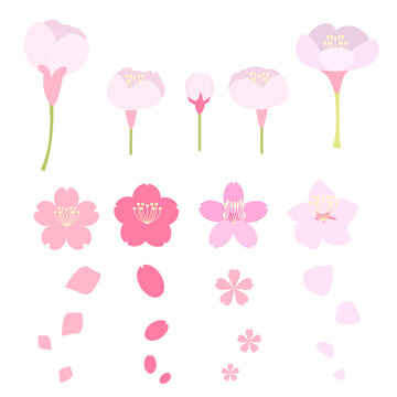 桜の花アイコンセット