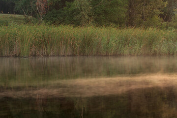 The shore with steaming water at dawn 