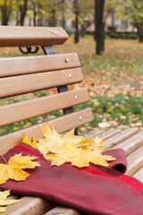 Bench with scarf and dry leaves in the city park in autumn.