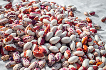 Pinto kidney beans lies in a heap and dries. Selective focus. Protein food, healthy food