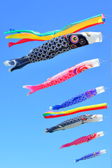 五月の鯉のぼり