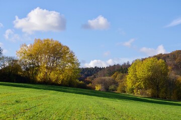 Herbstliches Tal