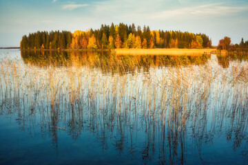 Karelian forest reflecting in water during fall