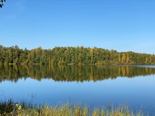 autumn trees reflected in water