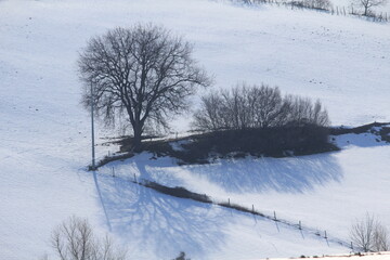 paesaggio di collina con neve