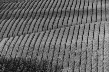 paesaggio di collina con neve