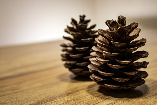 Two pine cones standing upright on the wooden table.