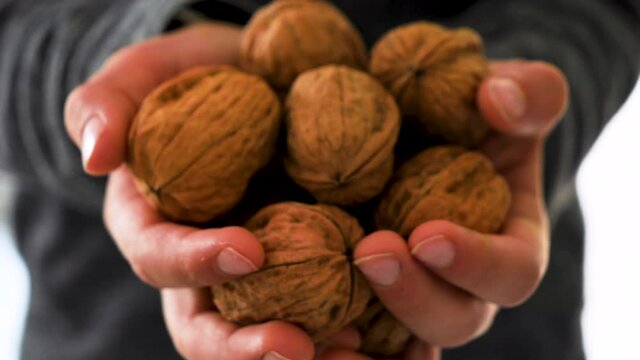 child's hand with walnut