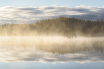 Obraz na płótnie Canvas Morning fog over a lake with flooded trees