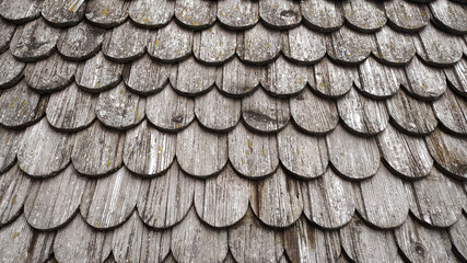 wall covered by wooden tile