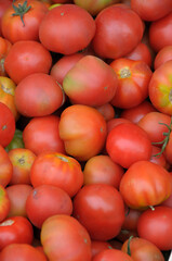 Tomates expuestos en un mercado