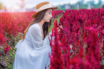 Fototapeta na wymiar Beautiful woman sits happily smelling flowers in a field of colorful flowers in Chiang Mai, Thailand