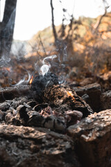 A small flame is barely visible in the dying fire. Light a fire in the woods. Smoldering wood in the fire, hot coals and a lot of smoke.