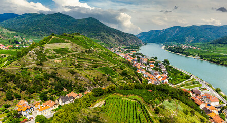 Famous vineyards in Wachau valley, Spitz, Lower Austria.