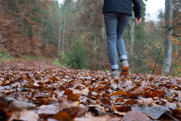 Herbst im Oberen Donautal bei Beuron