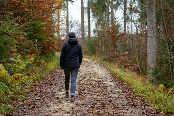 Fototapeta premium Herbst im Oberen Donautal bei Beuron