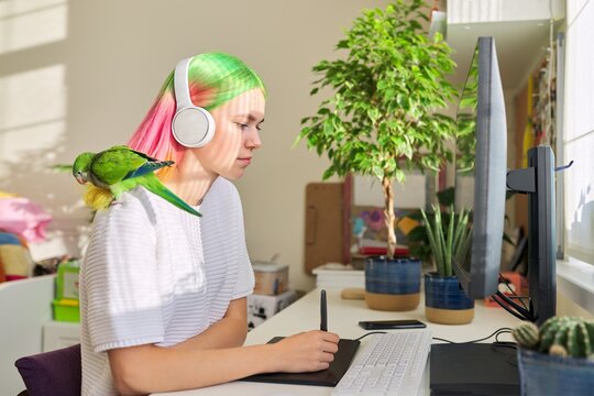 Student girl in headphones studying on computer with graphic tablet, with parrot