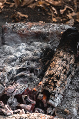 A small flame is barely visible in the dying fire. Light a fire in the woods. Smoldering wood in the fire, hot coals and a lot of smoke.