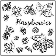 Set with Raspberry, berries, leaves. Graphic hand drawn engraving style. Doodle illustration for packaging, menu cards, posters, prints. Isolated over white background.