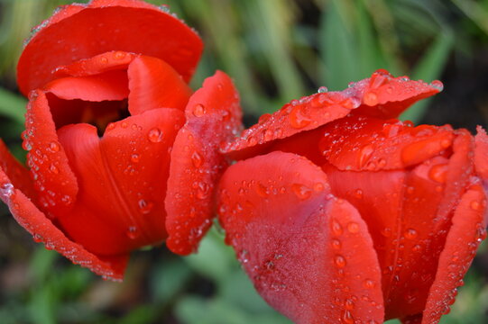 Tai kas gydo sielą, dovanoja meilę ir ramybę, &scaron;ildo žvarbią dieną ir prikelia gyvenimui.