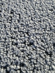 Tai kas gydo sielą, dovanoja meilę ir ramybę, šildo žvarbią dieną ir prikelia gyvenimui.