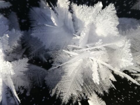 Tai kas gydo sielą, dovanoja meilę ir ramybę, &scaron;ildo žvarbią dieną ir prikelia gyvenimui.