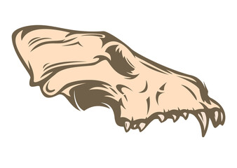 Wolf or dog skull in hand drawn color style isolated on white background. Vintage cartoon vector illustration. Design element for tattoo, print, cover.