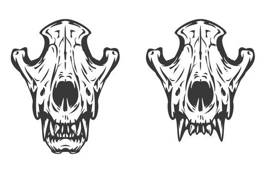 Wolf or dog skull in hand drawn monochrome style isolated on white background. Vintage cartoon vector illustration. Design element for tattoo, print, cover.