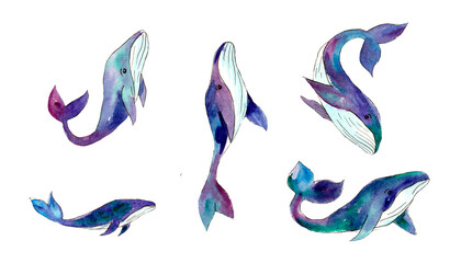 Fototapeta premium Watercolor illustration of a whale in space on a white background. Free space for text. Ecology and nature protection. Ocean. International Day for the Protection of Mammals.