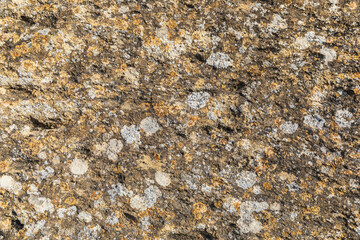 Texture of old stone covered with moss and stains