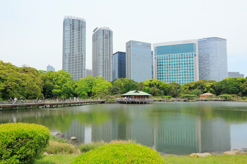 Fototapeta premium 浜離宮庭園と汐留シオサイト