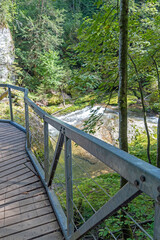 Wanderweg im Eistobel, Allgäu