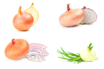 Set of Onion isolated on a white background with clipping path