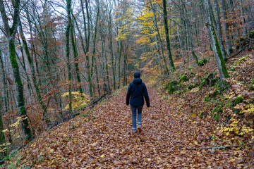 Fototapeta premium Herbst im Oberen Donautal bei Beuron