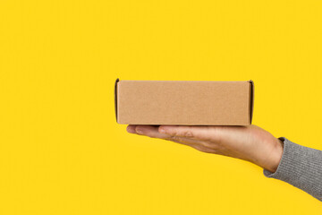 Mano sosteniendo una caja de cartón sobre un fondo amarillo liso y aislado. Vista de frente y de...