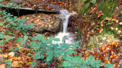 Fototapeta na wymiar A small Isolated woodland stream and waterfall in autumn, with bright autumnal colours (long exposure).