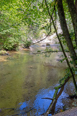Obraz premium Wilde Natur im Allgäu