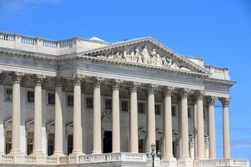 Obraz premium American Senate, Washington DC