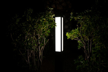 Night lantern shines through the green bushes at night