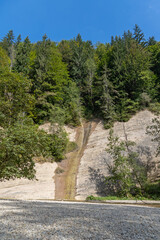 Wilde Natur im Allgäu